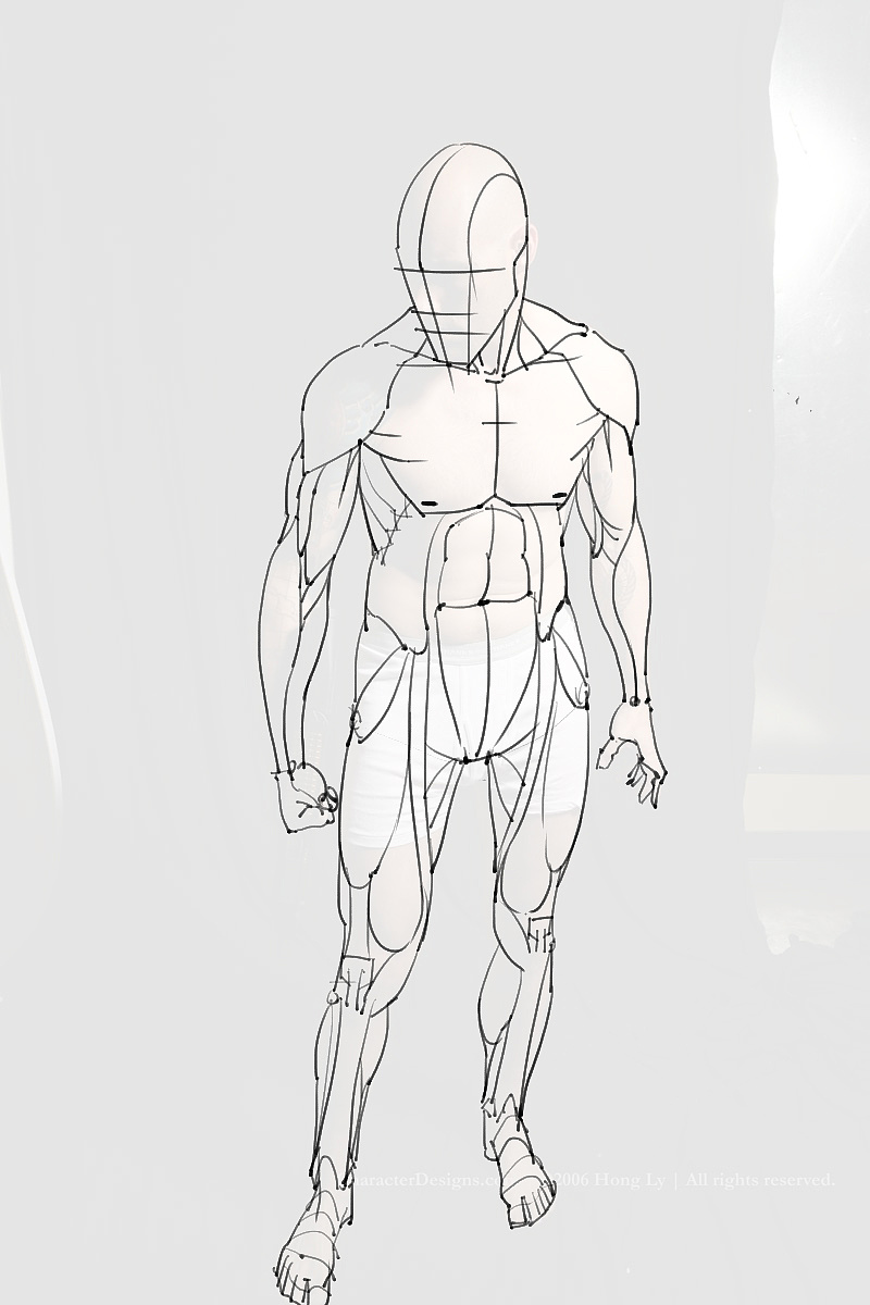 「動(dòng)漫設(shè)計(jì)制作素材」分享一波繪畫專用人體解剖素材 part 10