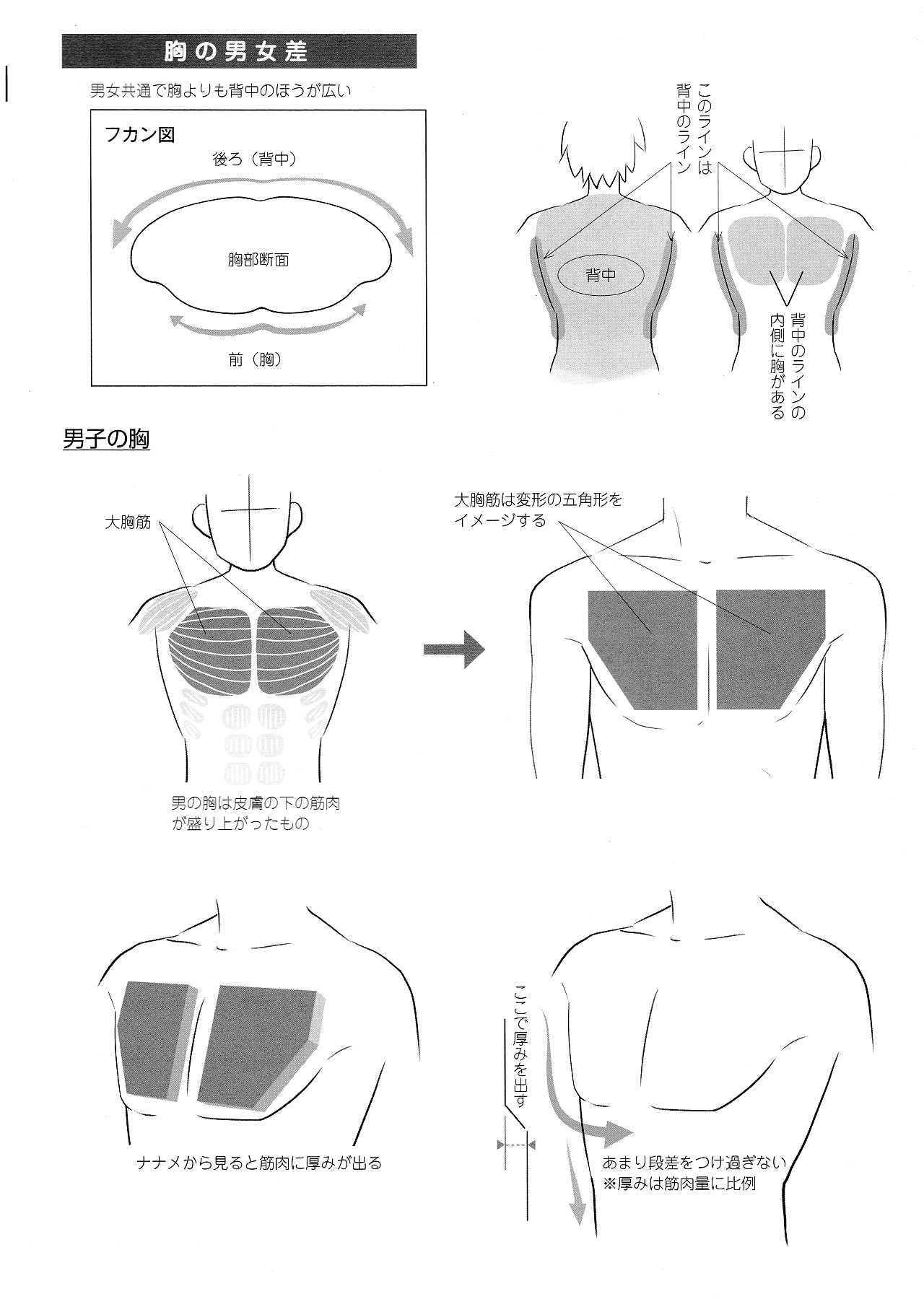 動漫角色設(shè)計：描繪男女の差別