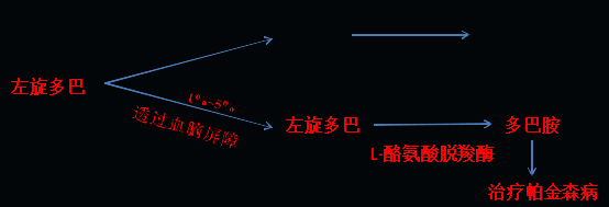 同樣的藥，為什么對(duì)他有效卻對(duì)你沒效果，可能得問腸道菌群