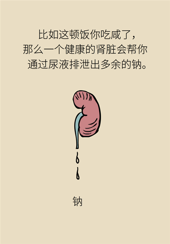 經(jīng)常憋尿會得急性腎炎？