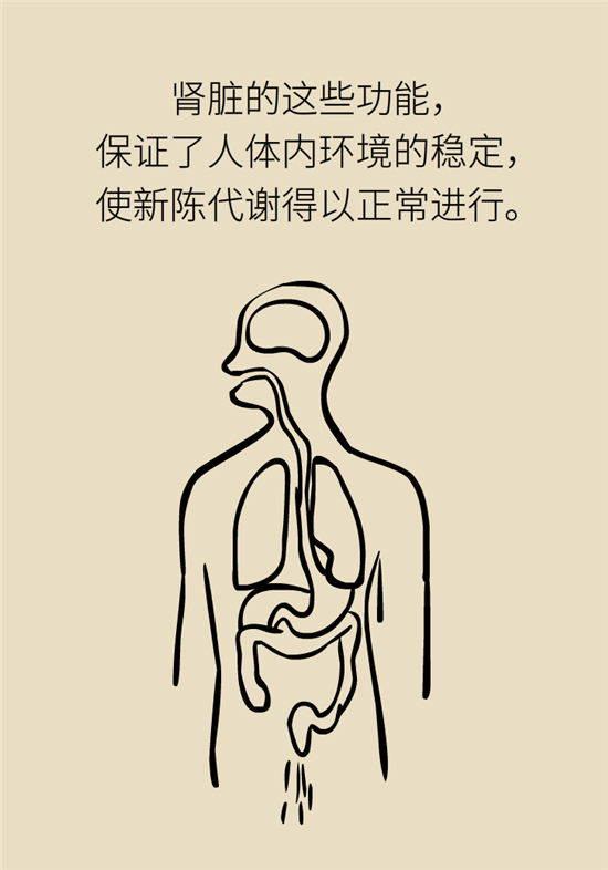 經(jīng)常憋尿會得急性腎炎？