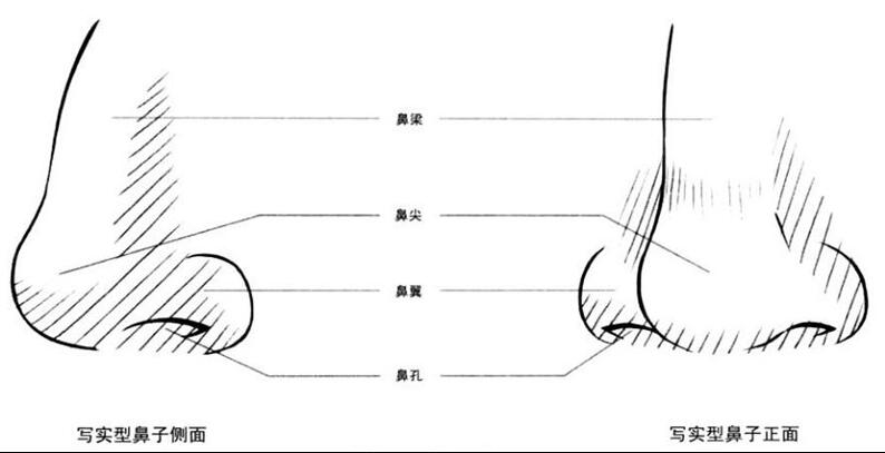 鼻子的畫法.jpg
