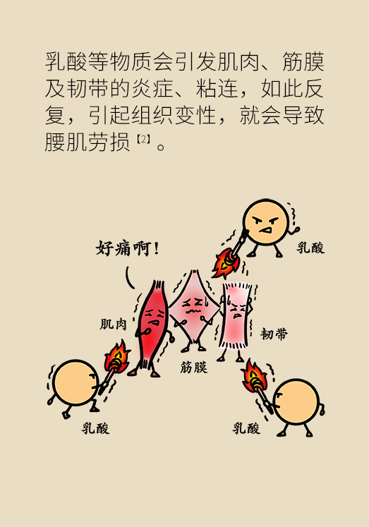 久坐久站致腰肌勞損？六招教你戰(zhàn)勝腰痛