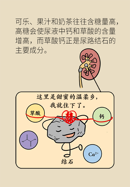 尿結(jié)石科普動漫