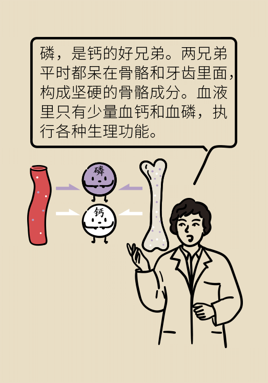 腎科普動漫制作