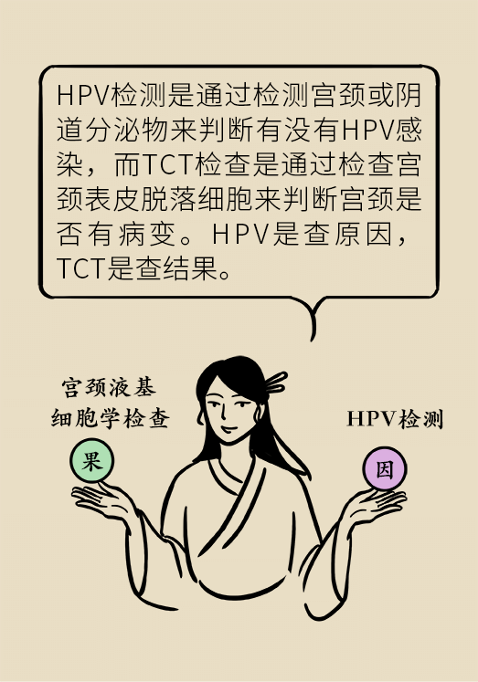 hpv宮頸癌醫(yī)學科普