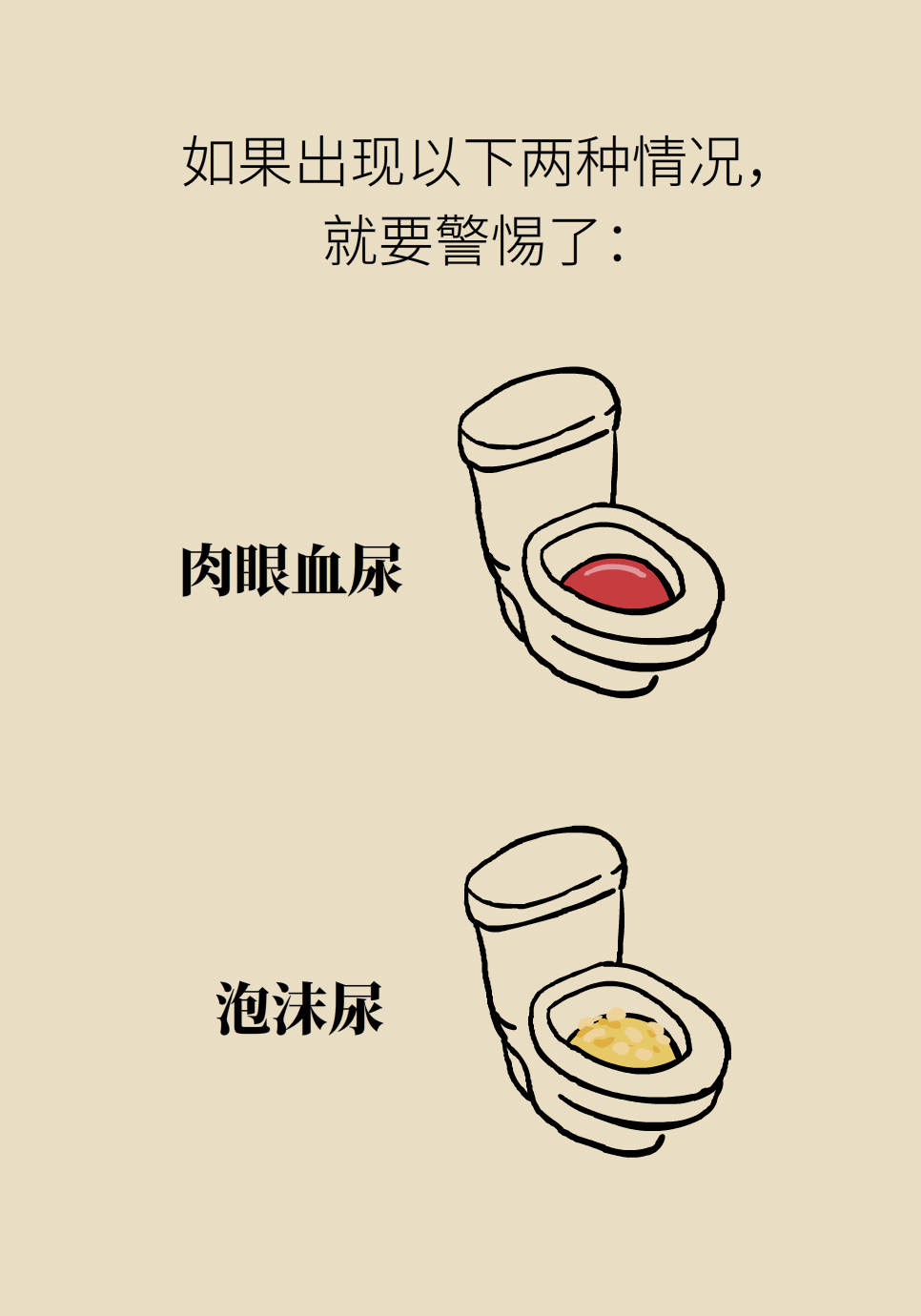 醫(yī)學(xué)腎知識科普