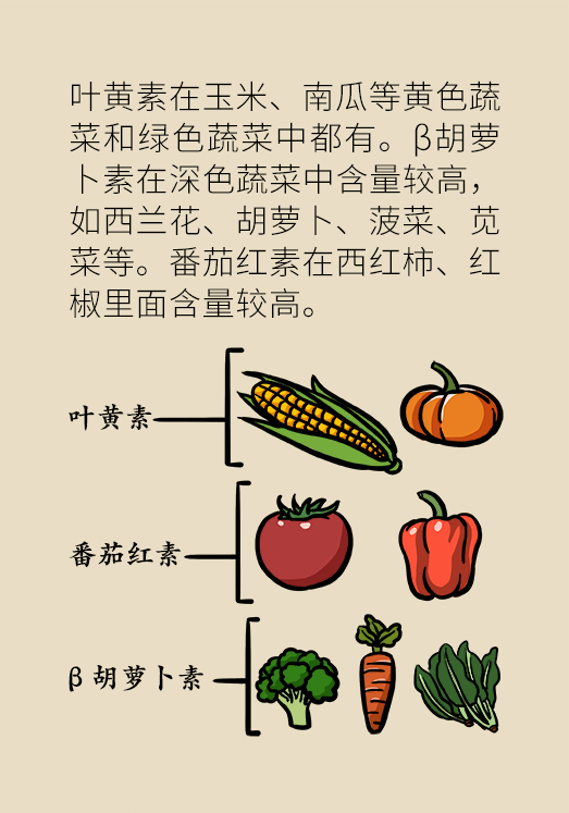 剩菜醫(yī)學(xué)知識(shí)科普動(dòng)漫制作