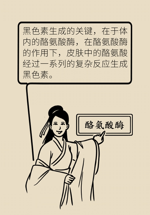 美白醫(yī)學(xué)知識(shí)科普動(dòng)漫