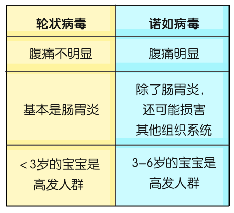 醫(yī)學(xué)諾如病毒科普動漫制作