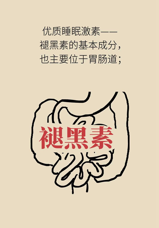 腸道健康醫(yī)學(xué)動漫制作