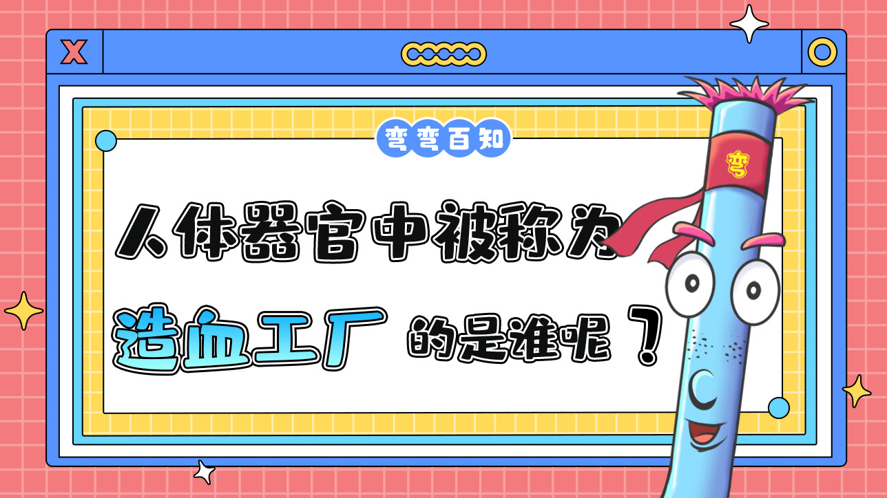 人體器官被稱為“造血工廠”的是誰呢？.jpg