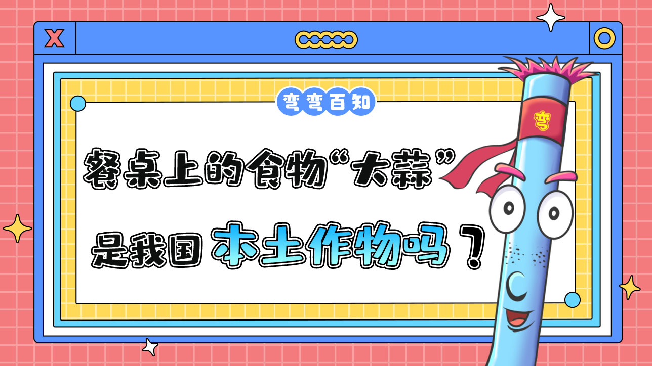 餐桌上的常見食物“大蒜”是我國(guó)本土作物嗎？.jpg