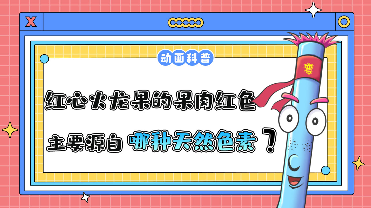 紅心火龍果的果肉之所以是紅色，主要源自哪種天然色素呢？.jpg