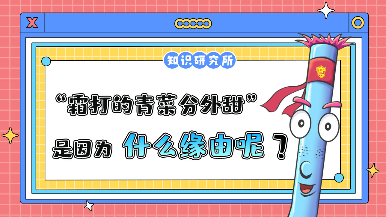 俗話說“霜打的青菜分外甜”，是因?yàn)槭裁茨兀?jpg